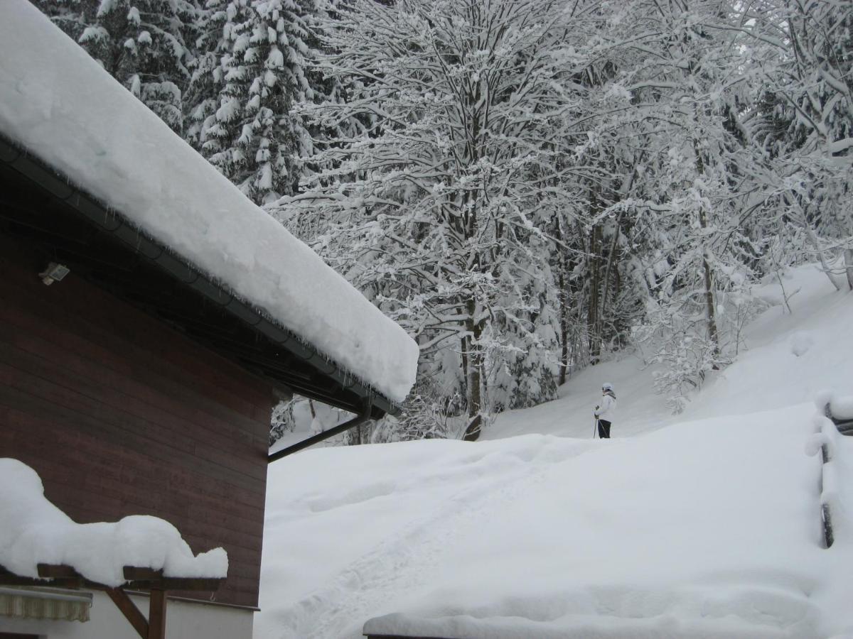 Ski-In Ski-Out Chalet Kriekels - By Alpen Apartments Zell am See Dış mekan fotoğraf